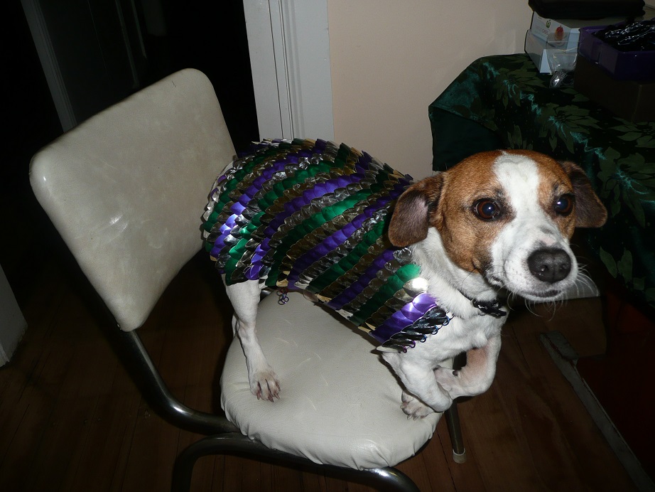 chainmail dog collar