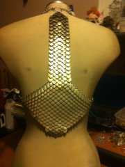 Back of scale top/necklace combo